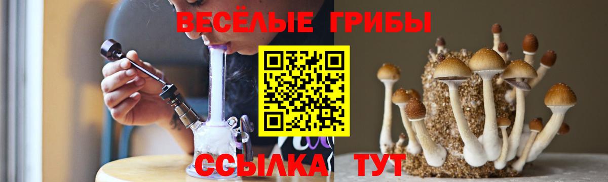 Галлюциногенные грибы ЛСД  Вход с VPN  Зеленокумск 